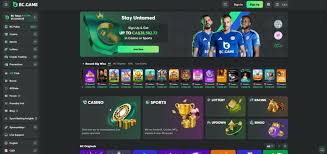 The Ultimate Guide to BC Game App 17